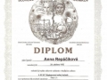 Diplom-04